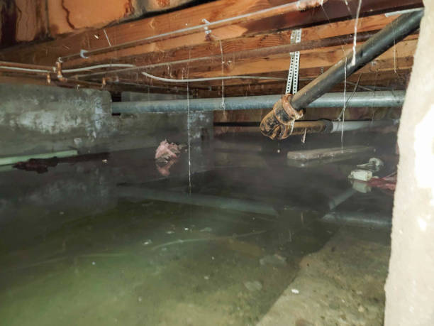 Best Local water damage restoration  in Flanders, NJ