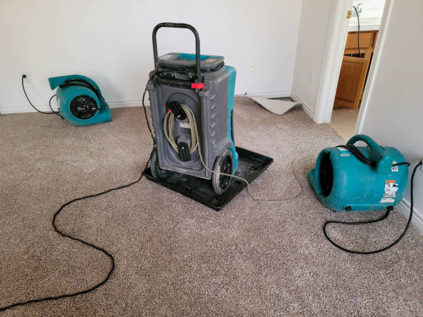 Best Basement water damage restoration  in Flanders, NJ