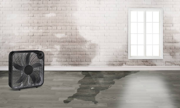Best Sewage cleanup and water damage restoration  in Flanders, NJ