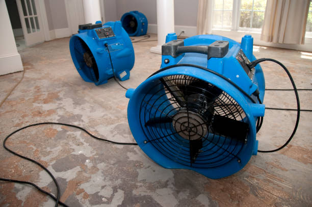 Best 24/7 water damage repair  in Flanders, NJ