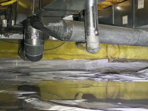 Best Professional water damage repair  in Flanders, NJ